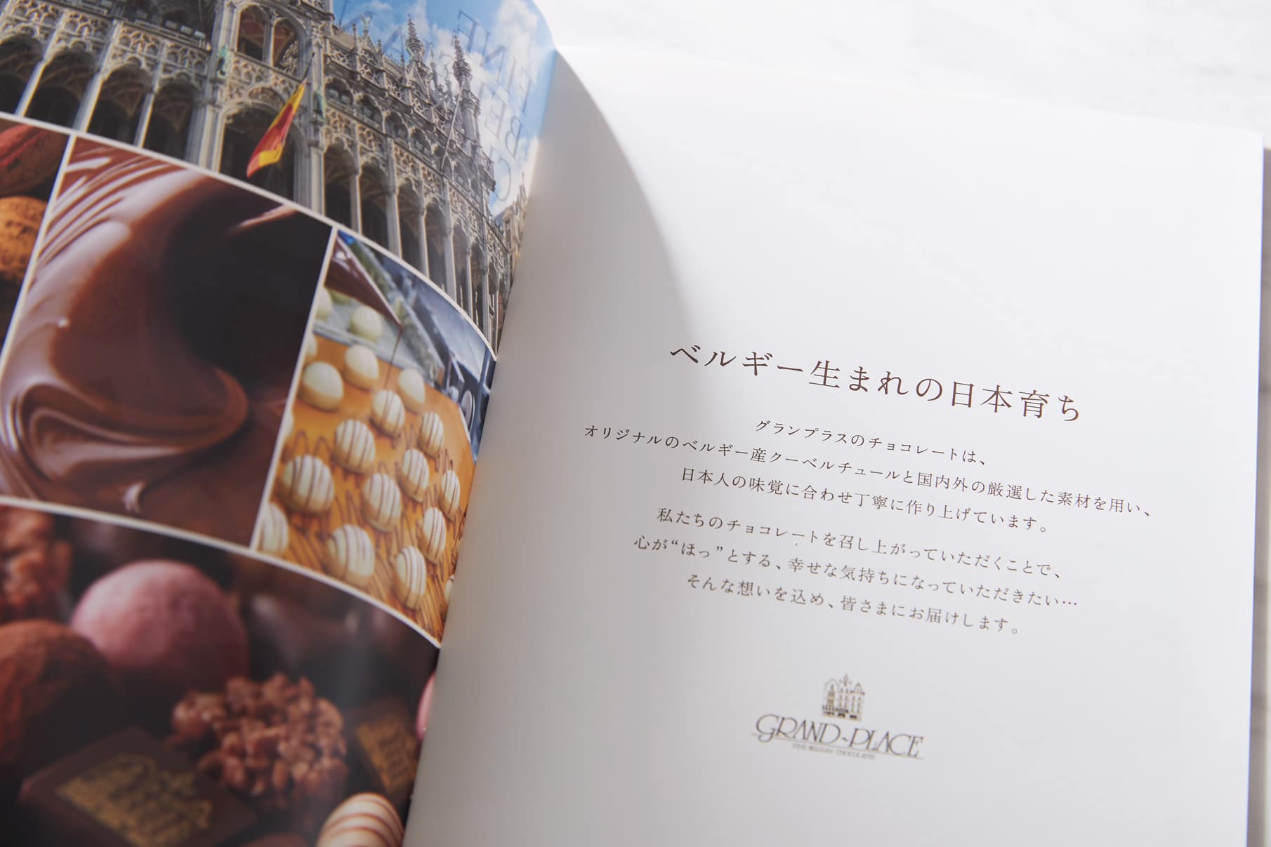 GRAND-PLACE - Brand Book 1