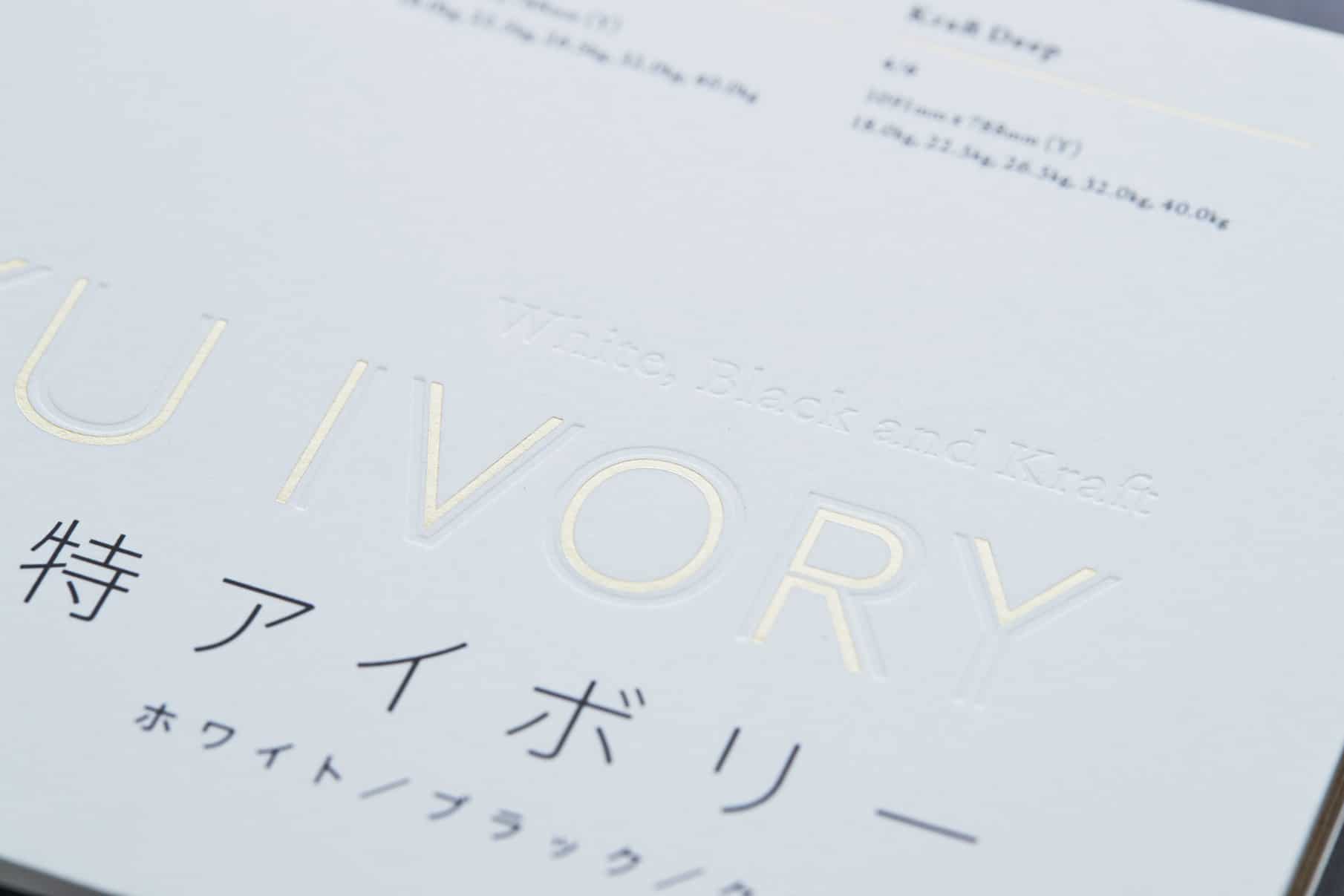 Toku Ivory - Promotion Book 4