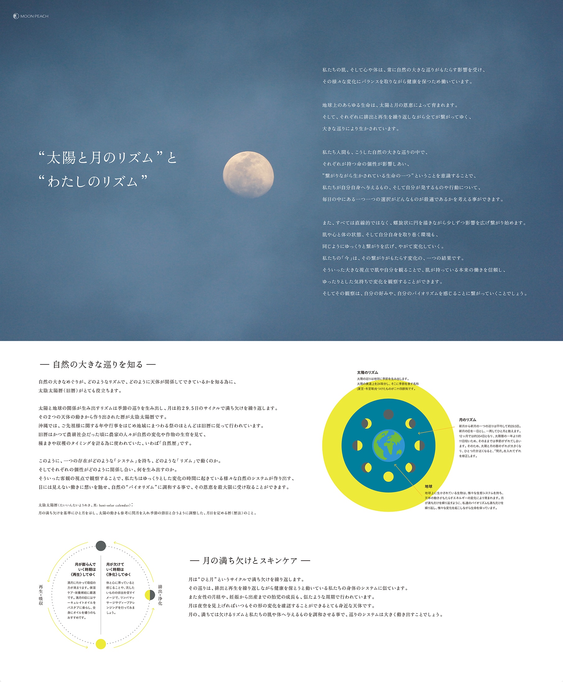 MOON PEACH - Brand Identity 11