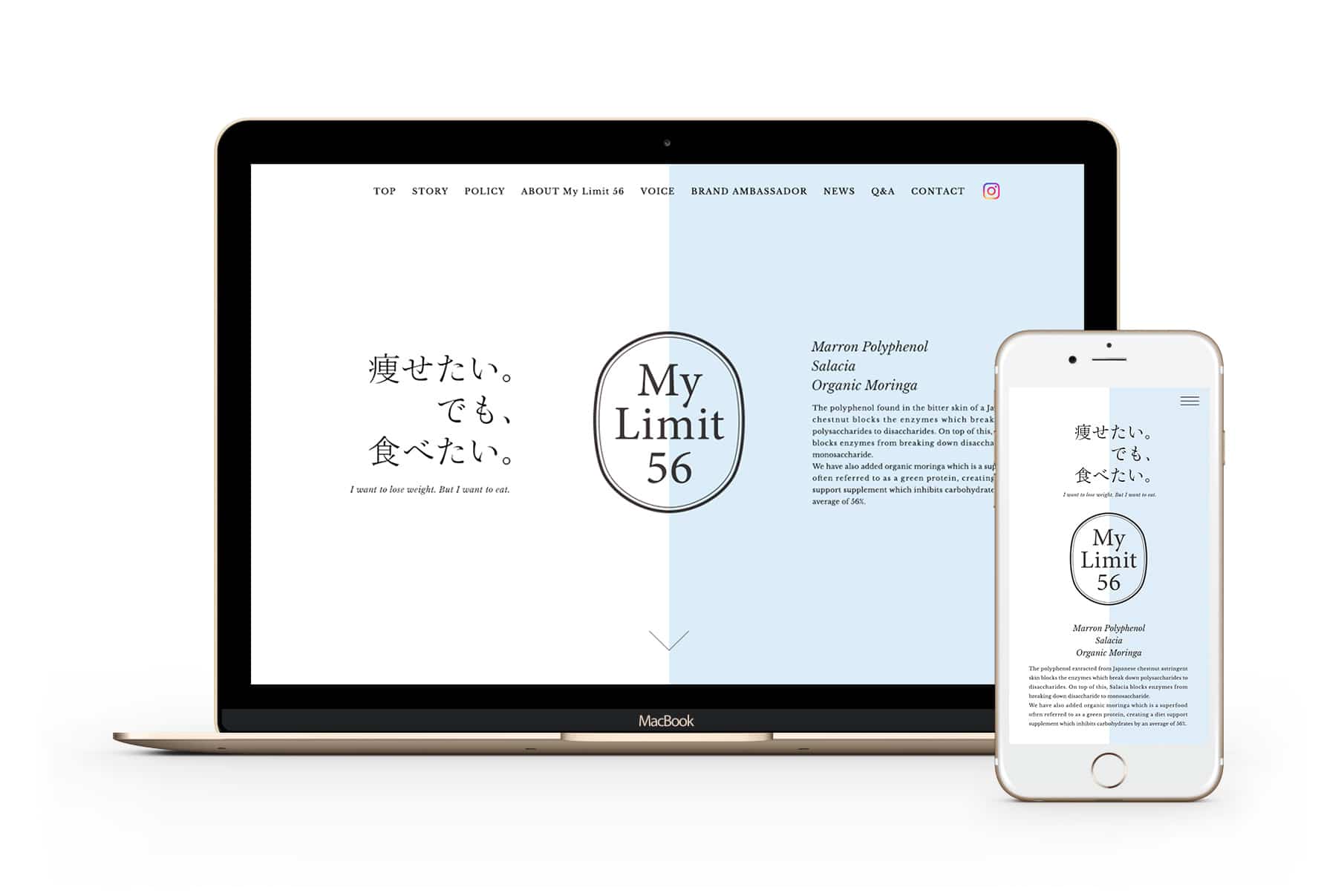 My Limit 56 - Website 1